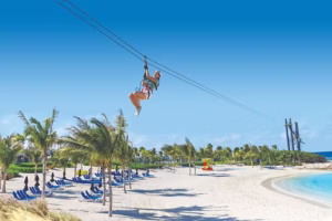 375695 555dee8af66540b4a5b00833388d3fd1~mv2