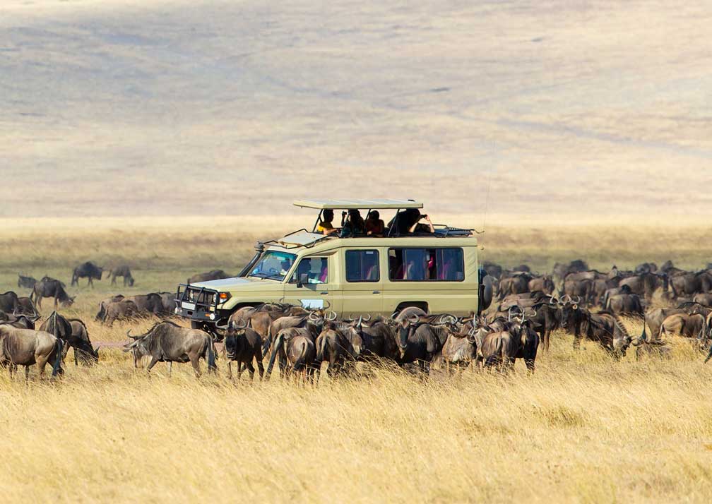 serengeti national park 2
